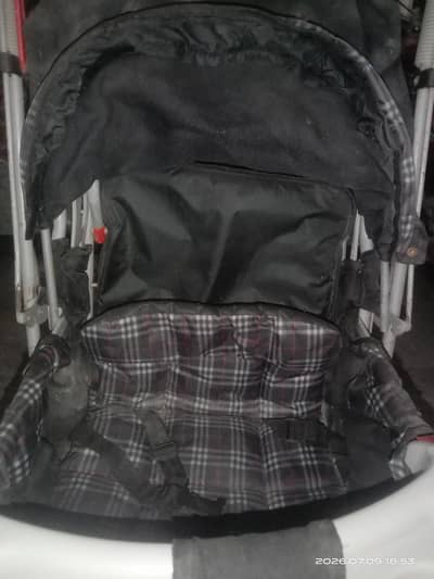 babe carry