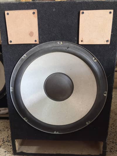Sony SHAKE X70D 15” Powerful Original Speakers | Excellent Condition