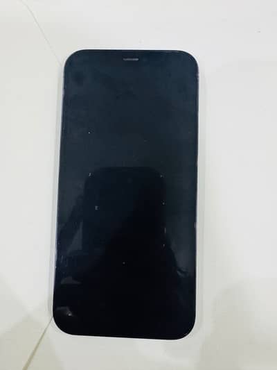 Apple iPhone 12 Pro