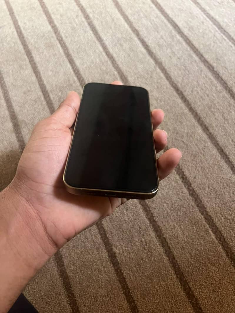 Apple iPhone 13 Pro 1