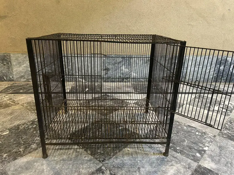 Big black cage for parrot,rabbit,pigon,and other bird — photo 2