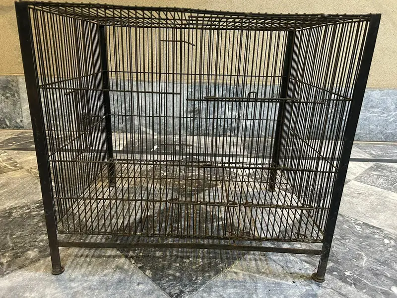 Big black cage for parrot,rabbit,pigon,and other bird — photo 3