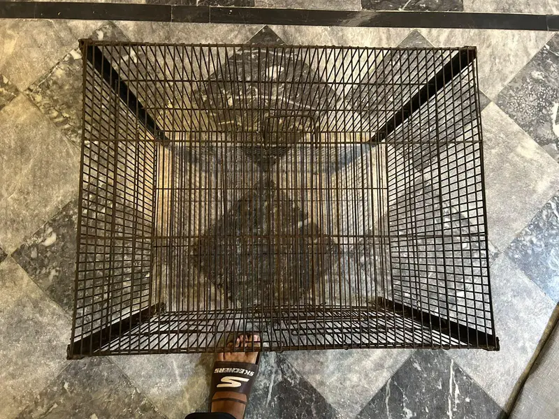 Big black cage for parrot,rabbit,pigon,and other bird — photo 6