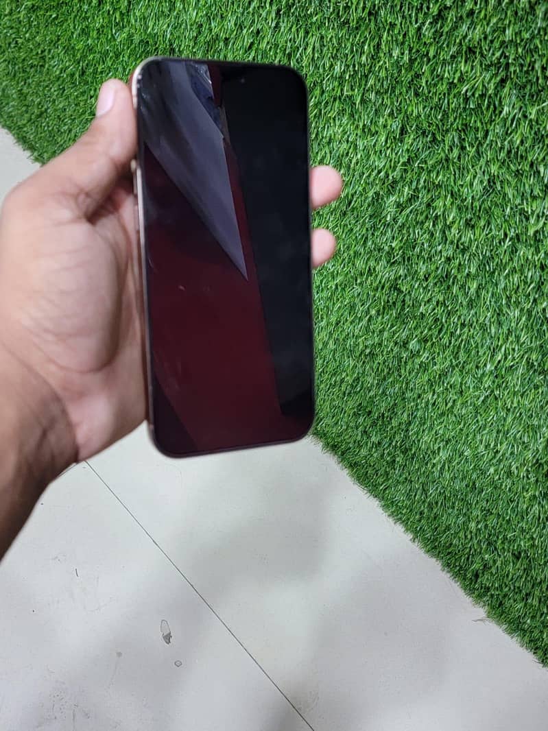 Apple iPhone 16 Pro Max 1