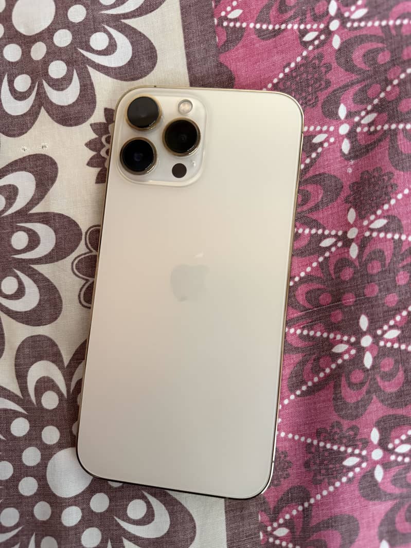 Apple iPhone 13 Pro Max 0