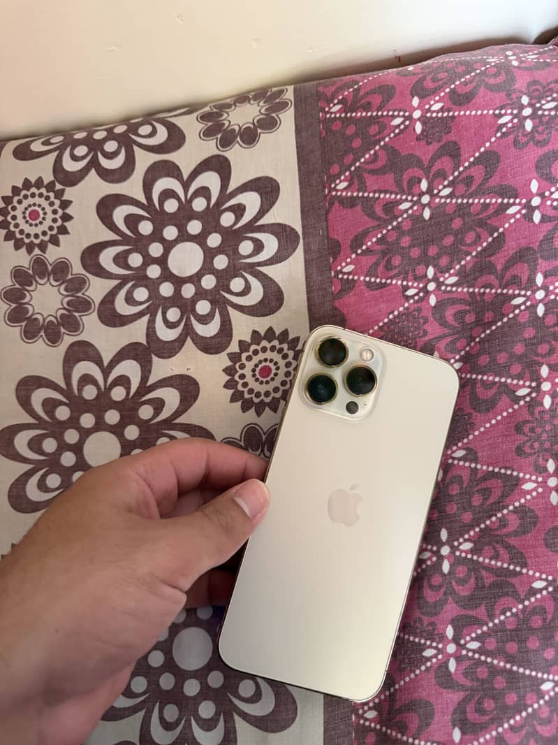 Apple iPhone 13 Pro Max 2