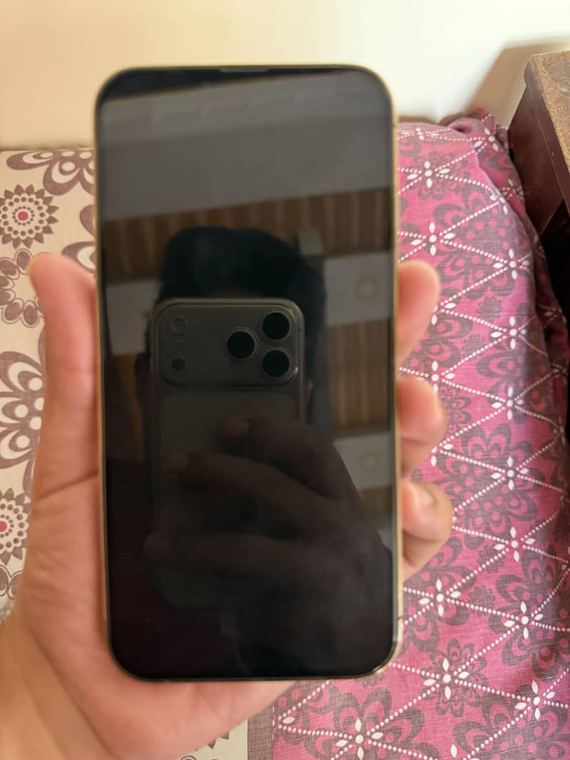Apple iPhone 13 Pro Max 8