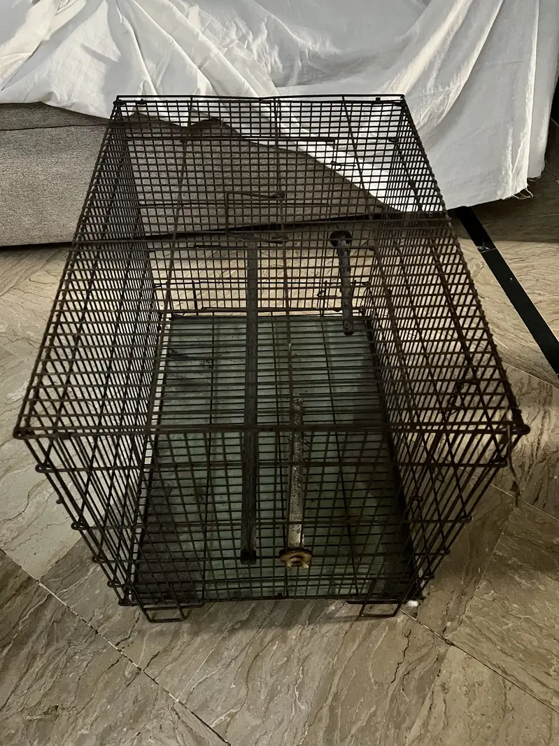 Bird cage for Small/Medium/Large birds, Parrots,african grey,hen — photo 2