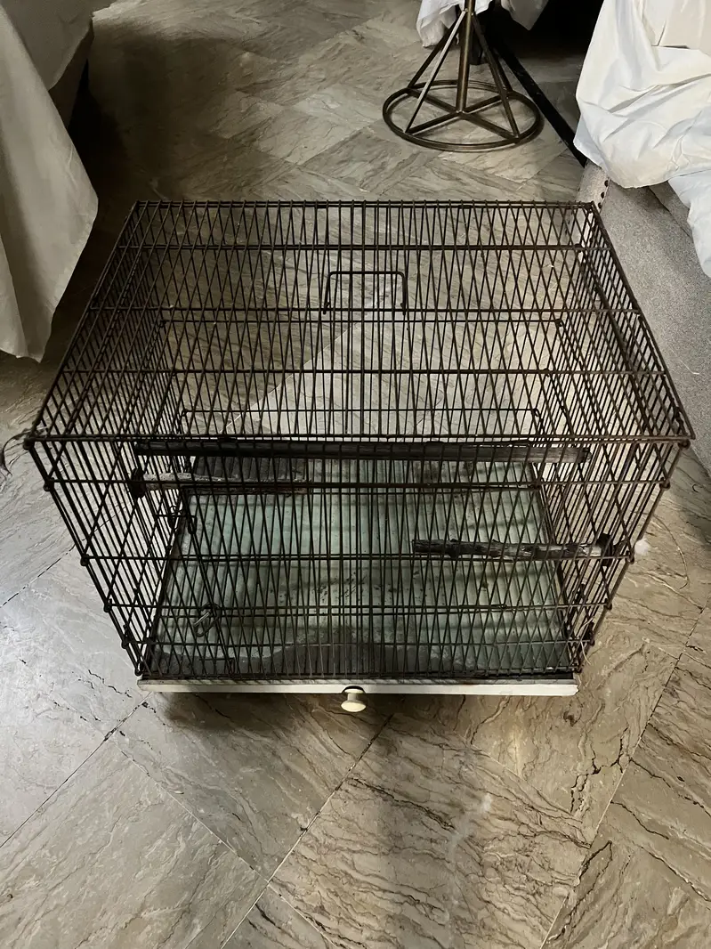 Bird cage for Small/Medium/Large birds, Parrots,african grey,hen — photo 3
