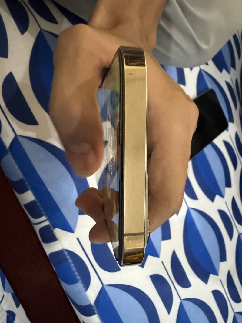 Apple iPhone 13 Pro Max 0