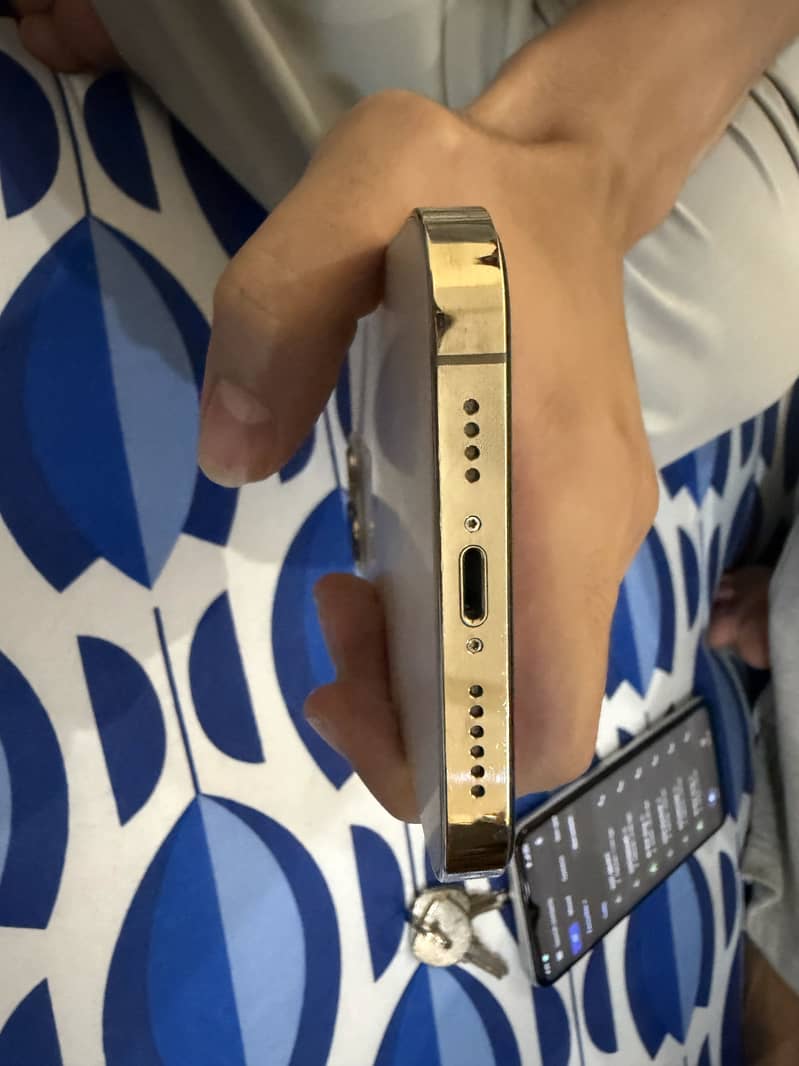 Apple iPhone 13 Pro Max 2