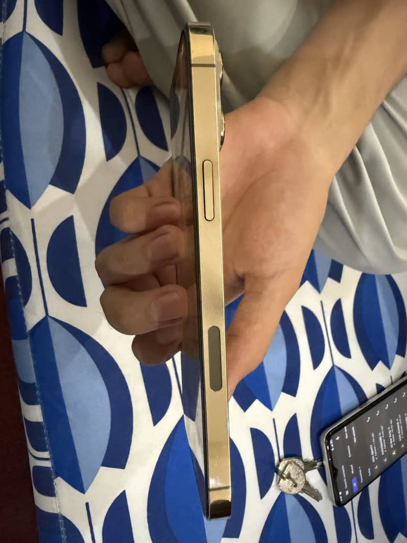 Apple iPhone 13 Pro Max 3