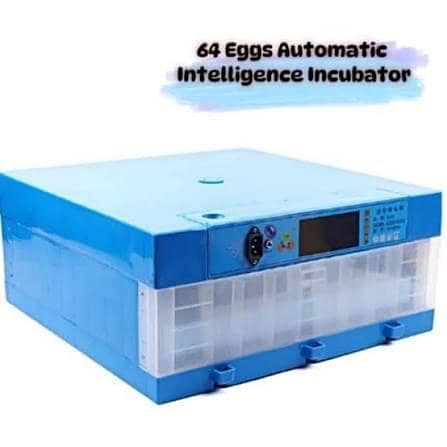 automatic incubator 3
