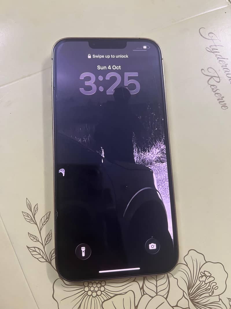 Apple iPhone 13 Pro Max 1