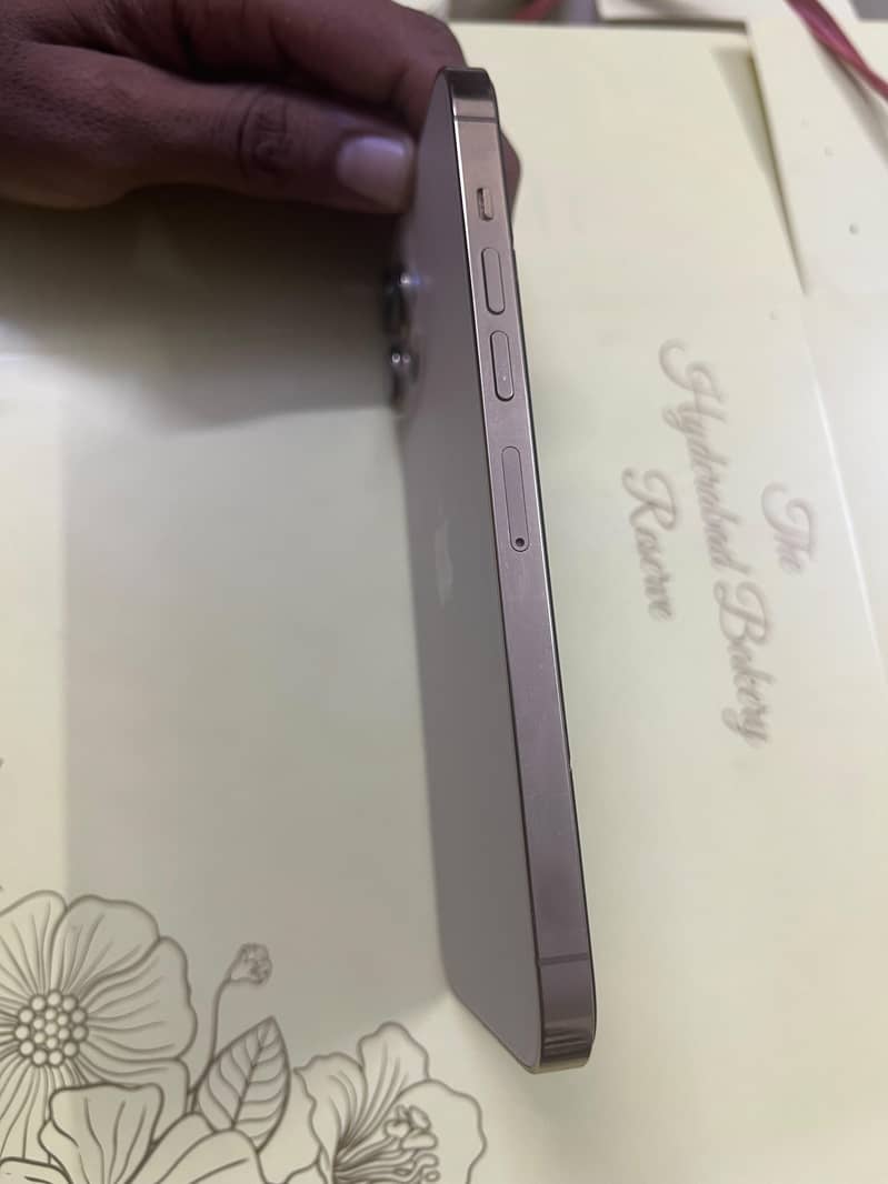 Apple iPhone 13 Pro Max 3