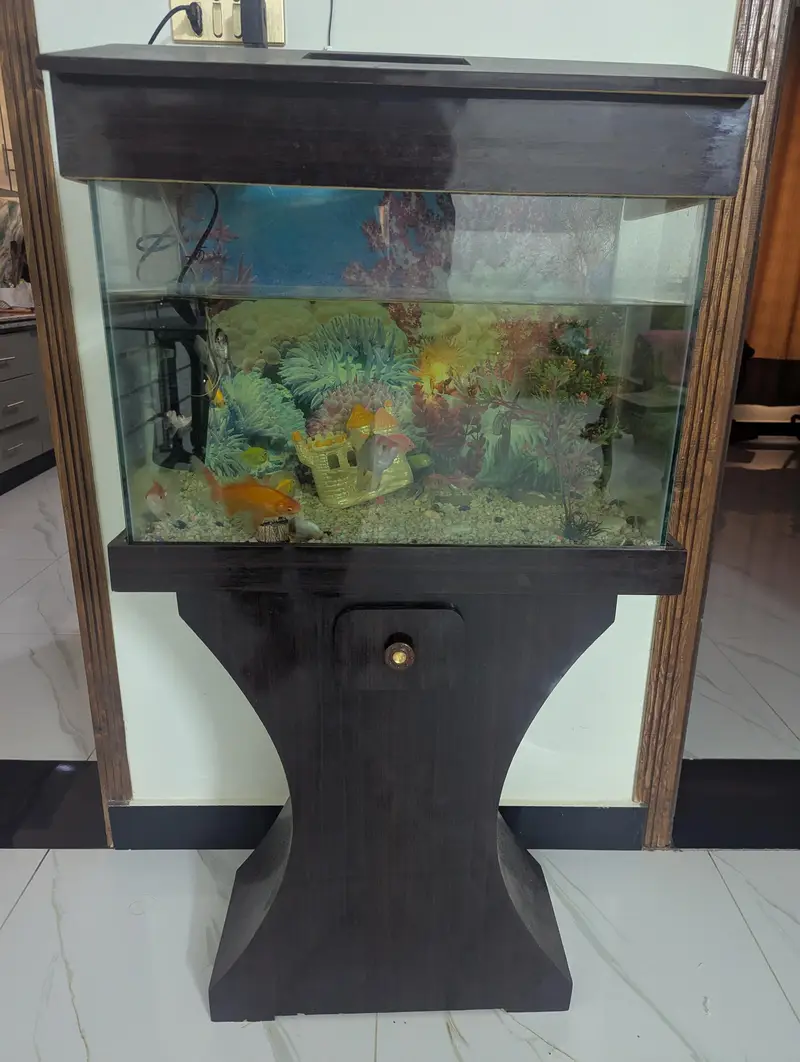 Fish and Aquarium — photo 3