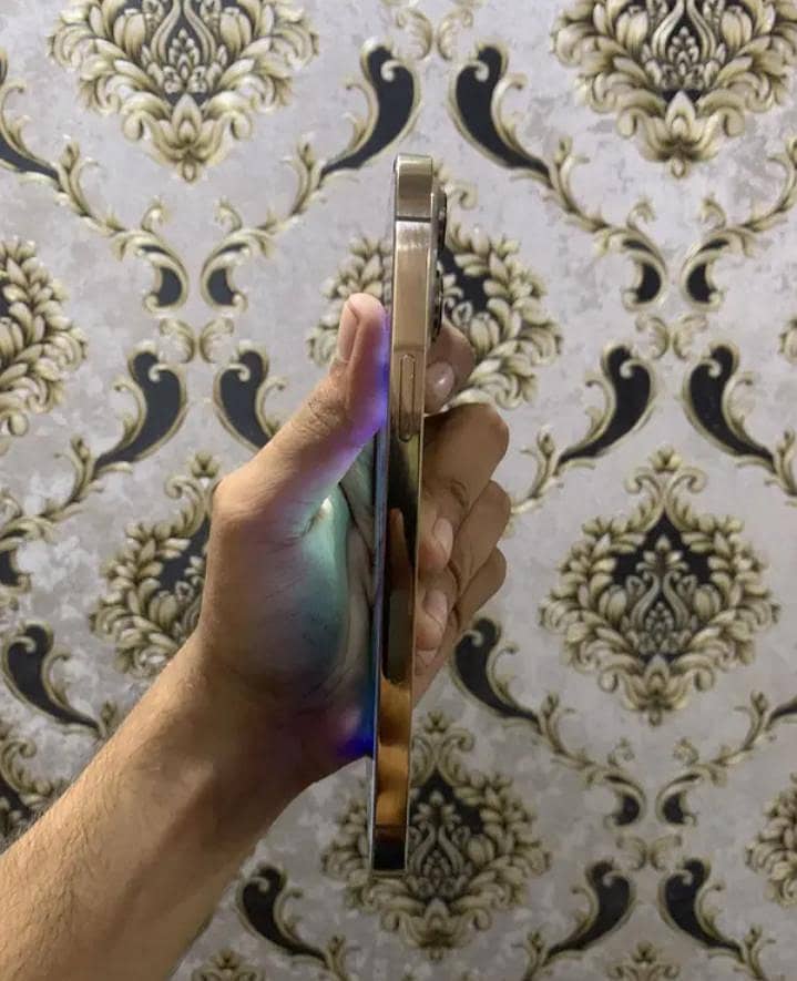 Apple iPhone 13 Pro Max 1