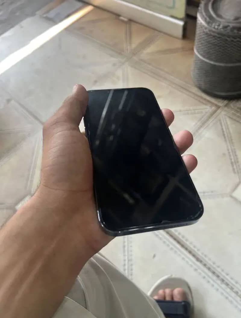 Apple iPhone 13 Pro Max 2