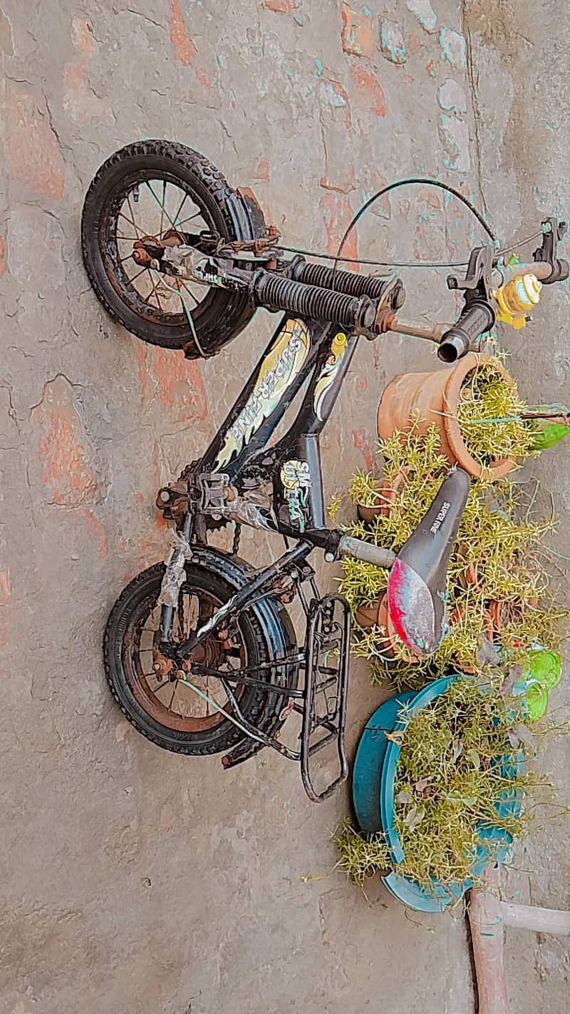 baby Scycle 1