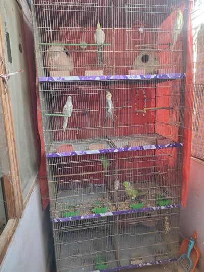Birds cage