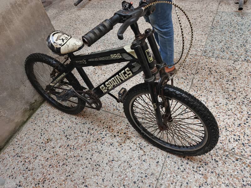 12 spring bicycle 0