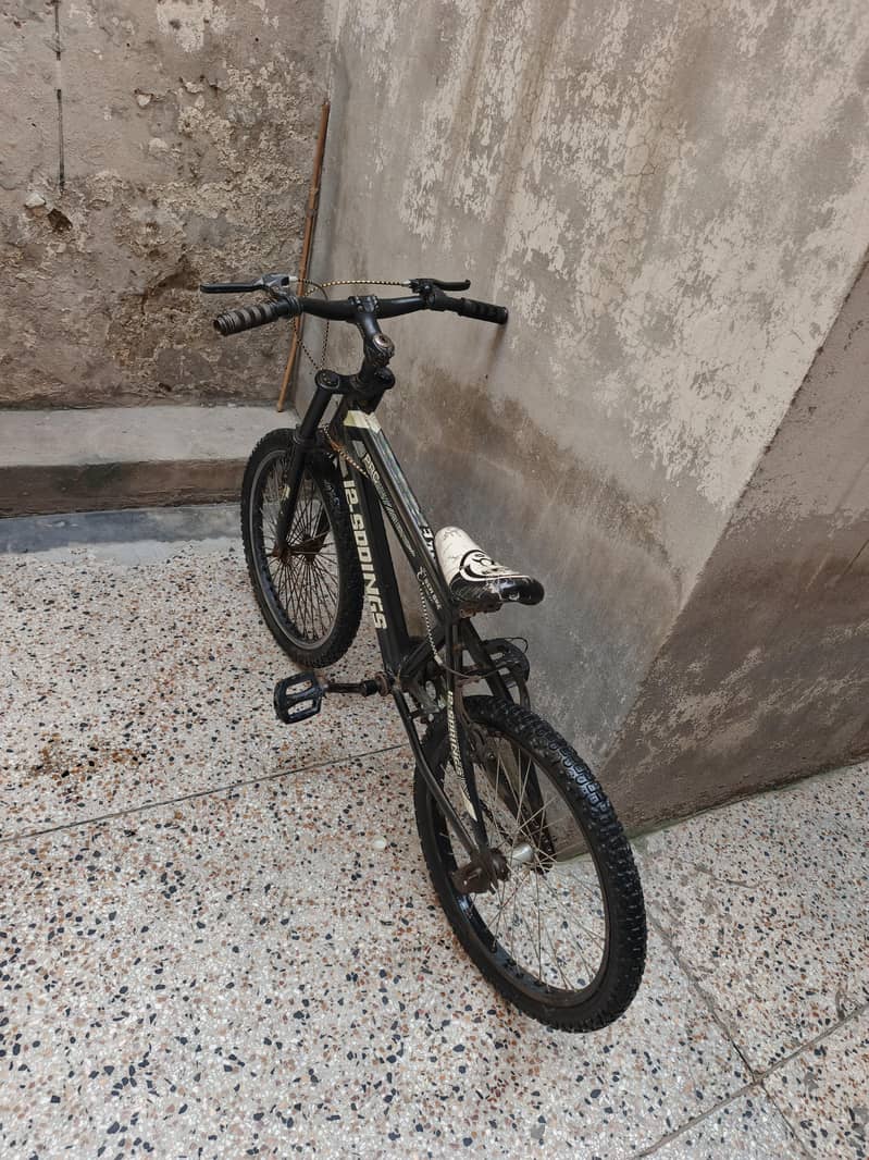 12 spring bicycle 1