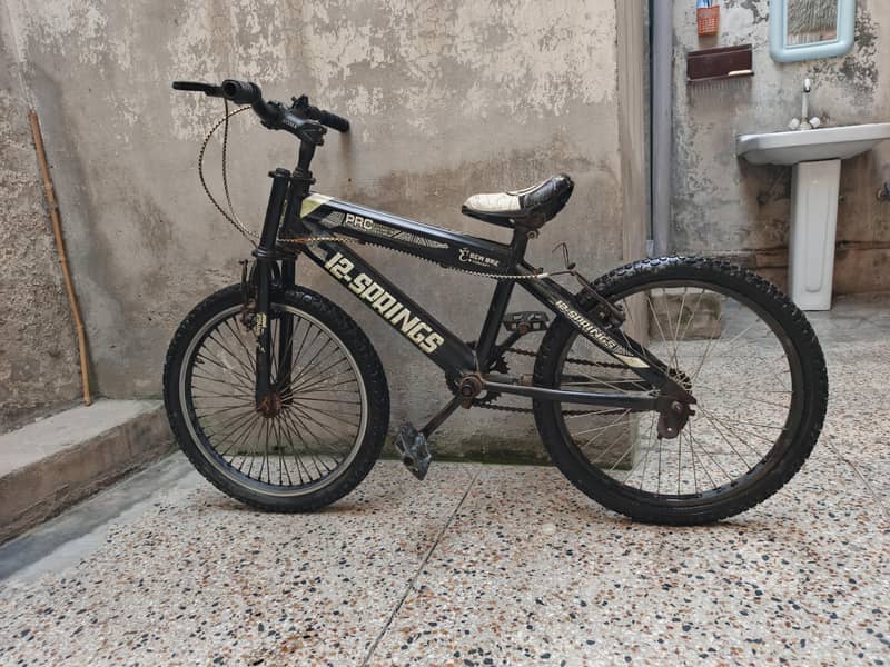 12 spring bicycle 2