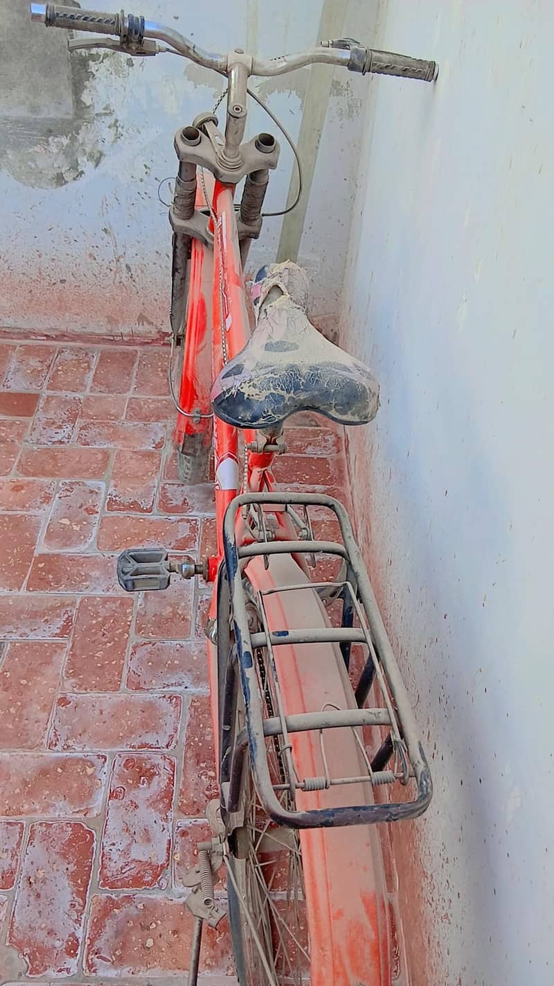 Superfine Bicycle 2
