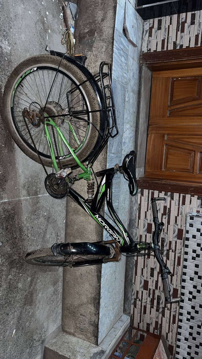 Morgan cycle 1