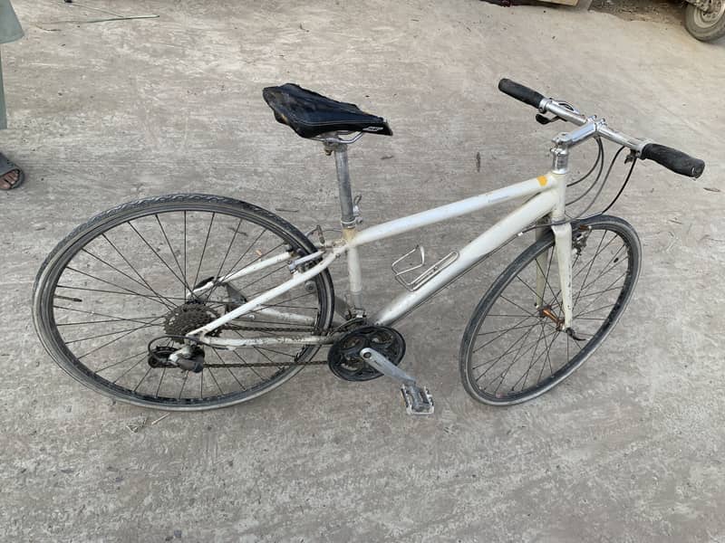 Cycle 6