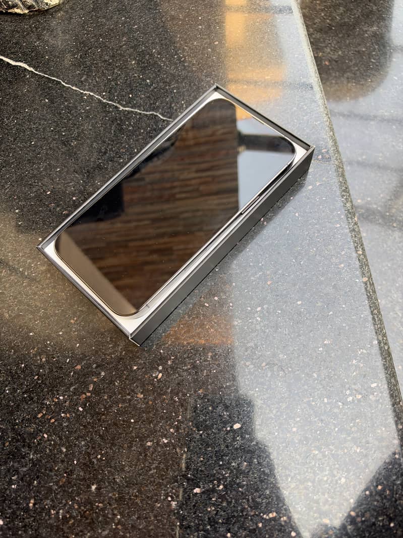 Apple iPhone 13 Pro Max 1