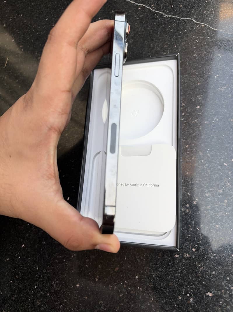 Apple iPhone 13 Pro Max 2