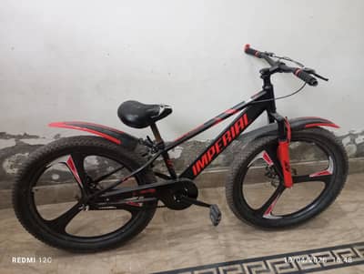 Sports Bicycle