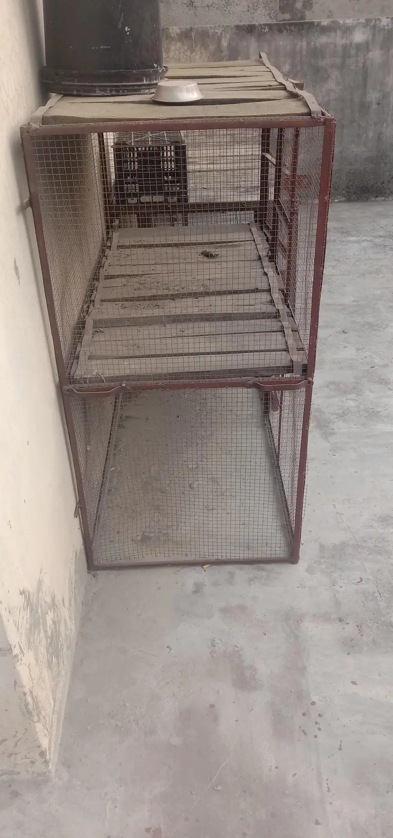 Cage for Birds and Animals — photo 2