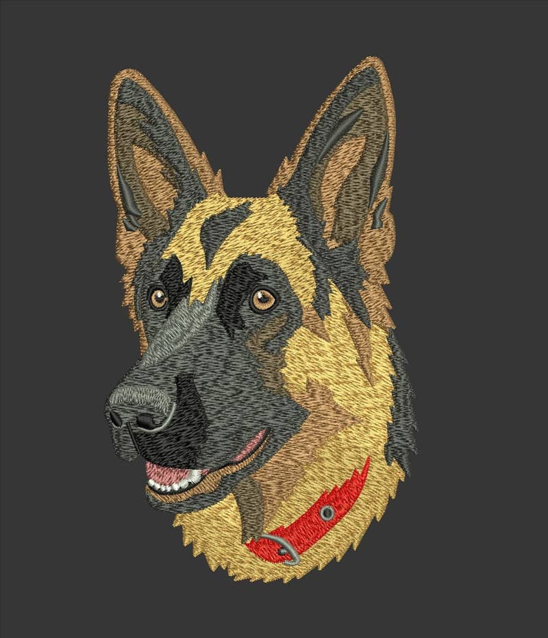 Embroidery digitizing 4
