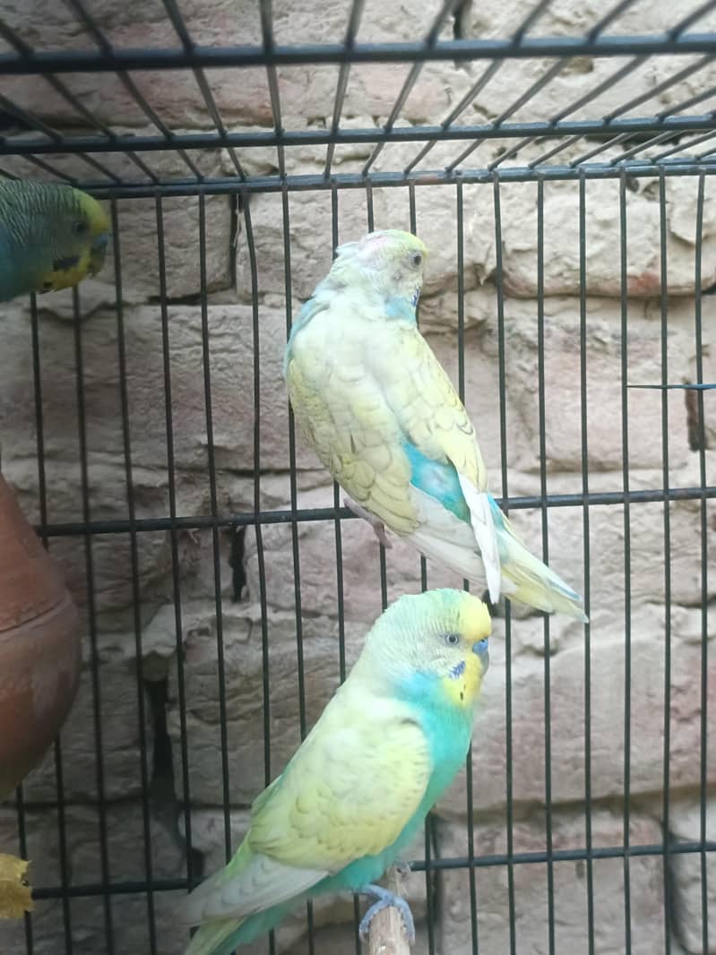 bredr pair 3