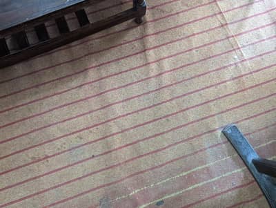 used carpet in good condition