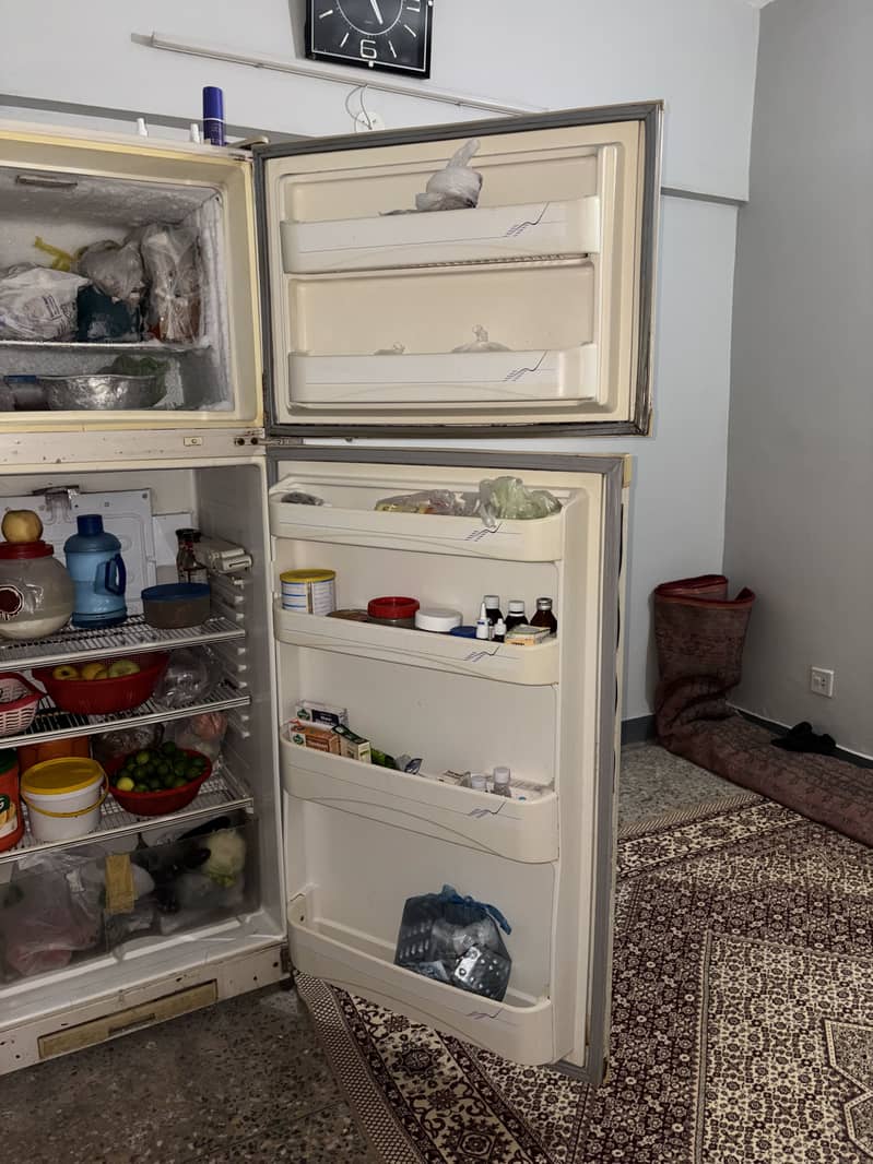 Dawnlance big fridge 4