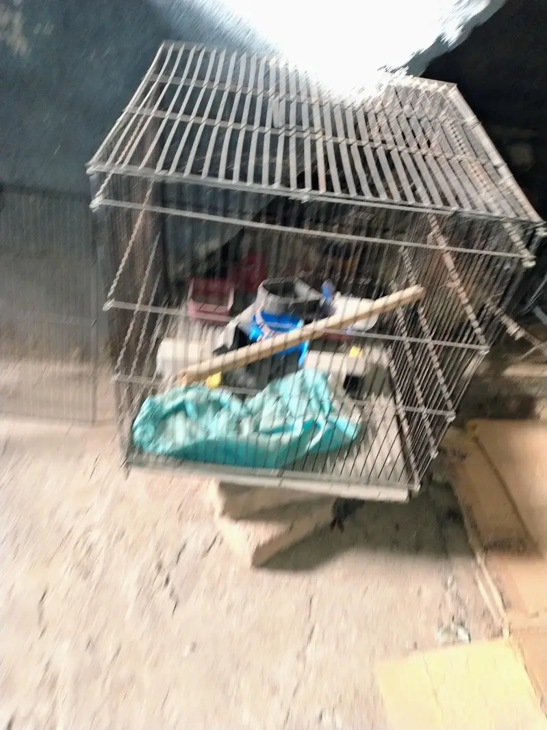 cage available iron wire 3 Doors partition wise Cage Available — photo 4