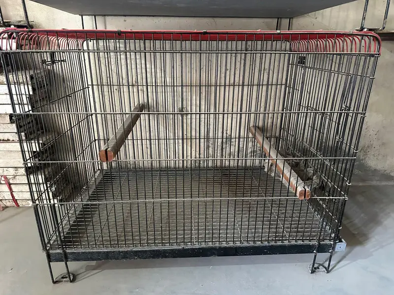 Birds / Pets Cage — photo 2