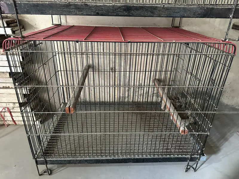 Birds / Pets Cage — photo 3