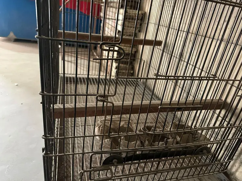 Birds / Pets Cage — photo 4