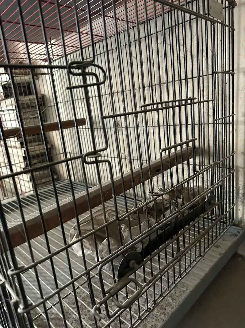 Birds / Pets Cage — photo 5