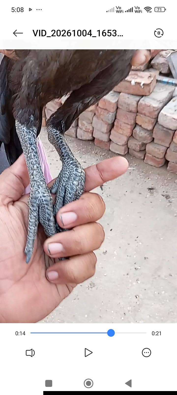 dragon 2