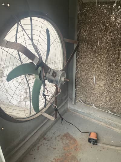 12 watt air cooler working condition