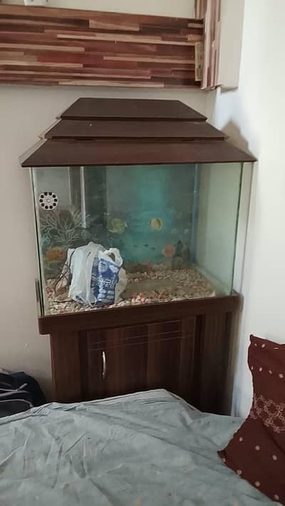 aquarium