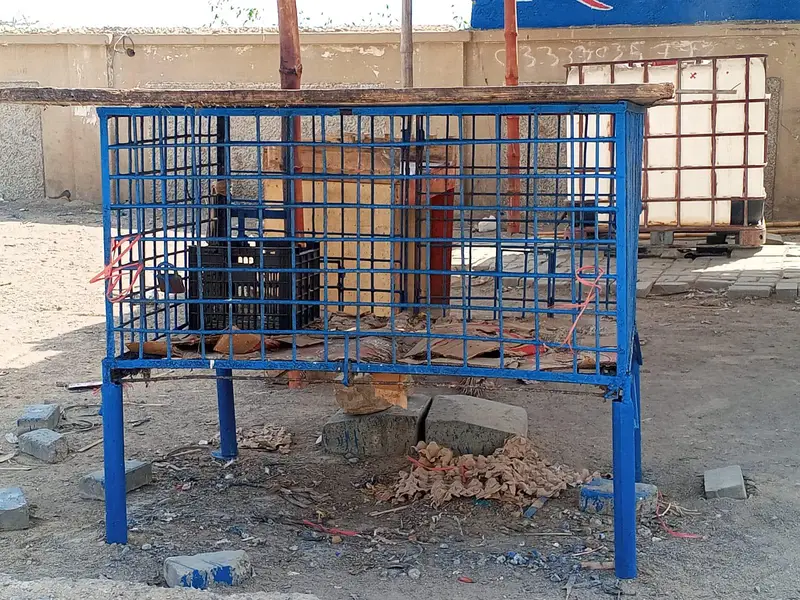 CHICKEN CAGE AVILB HA BHTTT ACHA CAGE HA — photo 2