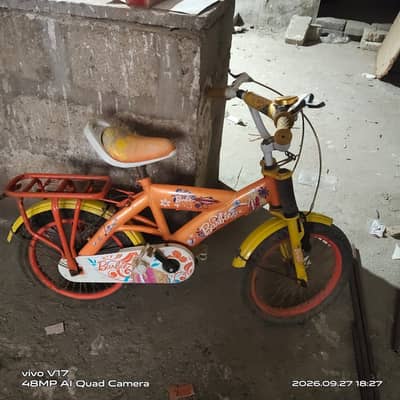 Bicycle