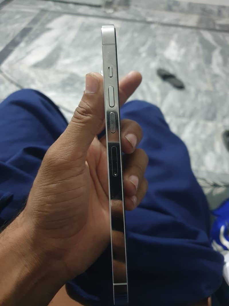 Apple iPhone 13 Pro Max 2