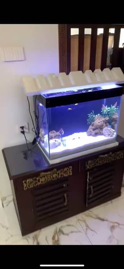 Aquarium for Sale Urgent